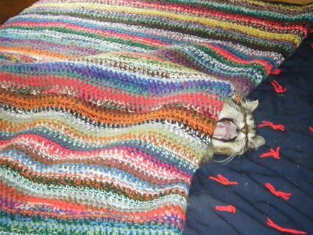 Bianca, just all tuckered