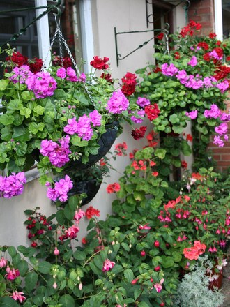Container gardening: Pots, Tubs and Baskets