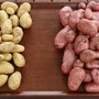 Home Grown Vegetables
