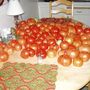 My kitchen table with the day's pick of tomatoes in August this year (tomatoes)