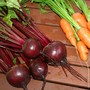 Carrots & Beetroots