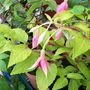 Picture_026