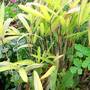 Picture_006