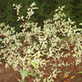 September_13_2008_040