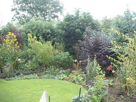 September_13_2008_035.jpg