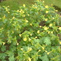 September_13_2008_015