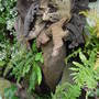 September_17th_2008