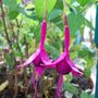 Picture_108