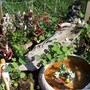 mythical_garden__mj_013.jpg