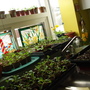 My kitchen every spring.