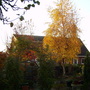 Captured_2006-11-18_00070