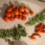 Fruit of the Work