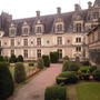 Chateau (Buxus sempervirens (Common box))