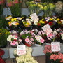 flower stall