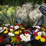 flowers for sale