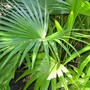 to be identified