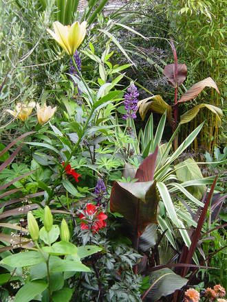 Colour, pattern,texture and form