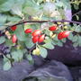 2008-10-14_034