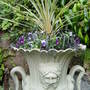 Autumn planting scheme in large urn. See Blog 19.