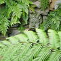 Close up photo of part of the Grotto. October 16th 2008.
