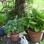 Captured_2007-5-14_00027