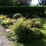 Before patio and planting
