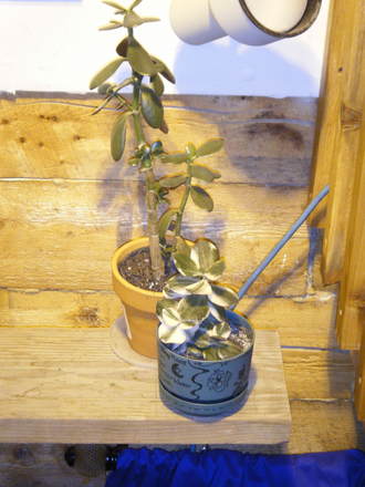 Jades