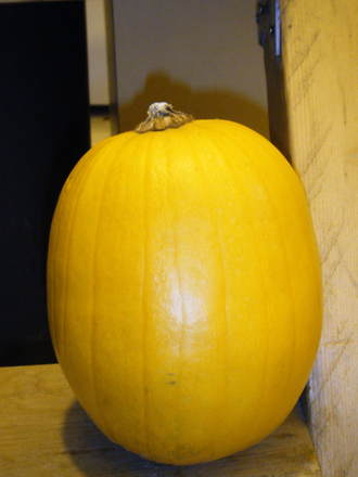 pumpkin from Summer
