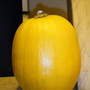 pumpkin from Summer