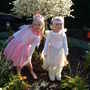 Fairy tree blessing