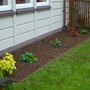 last of the Autumn planting