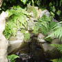 The Grotto.