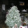 Christmas come early 28 October