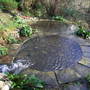Ponds project pic 1