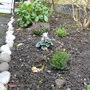new front garden