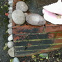 one of the sections in the front garden