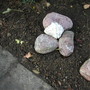 new front garden