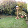 new back garden