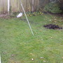new back garden