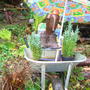 Damp and shady project photo 1