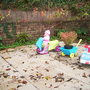 Rose garden project 3