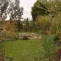 A garden flower photo