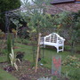 A garden flower photo