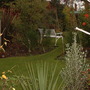 A garden flower photo