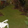 lawn care