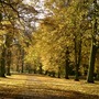 Autumn stroll