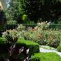 Minter_Gardens_3.jpg