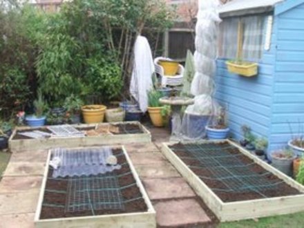 Building the raised beds