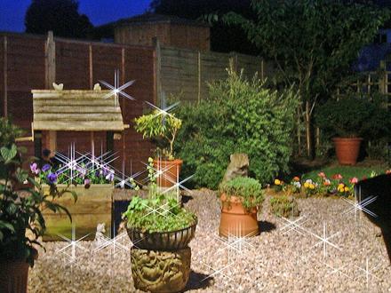 Night Time in Our Garden