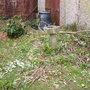 12 foot hebe gone.....